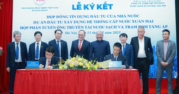 lai-1-ty-no-300-ty-1756274975.jpg