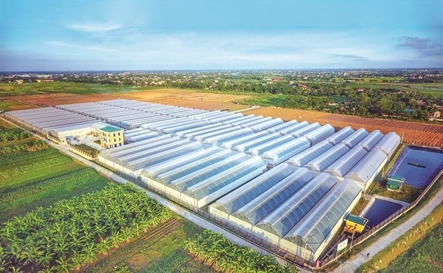 an-farm-moi-ngay-lai-gan-15-ty-dong-nhung-no-vay-ngan-hang-tang-gap-3-lan-1-1757476418.jpg