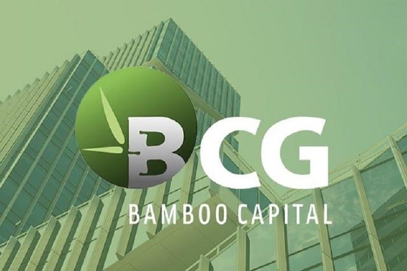 bamboo-capital-doi-mat-lo-hon-8000-ty-bien-dong-nhan-su-lien-tuc-ke-hoach-tai-cau-truc-lieu-co-du-manh-de-phuc-hoi-1765160924.jpeg