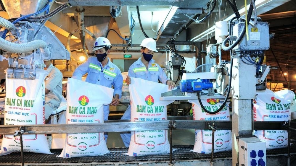 dam-ca-mau-dat-muc-tieu-lai-nghin-ty-san-luong-ure-gan-1-trieu-tan-trong-nam-2026-1767410879.jpg