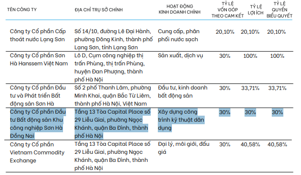 lo-dien-vai-tro-cua-tap-doan-son-ha-phia-sau-doi-tac-trong-nuoc-1-1768961624.png