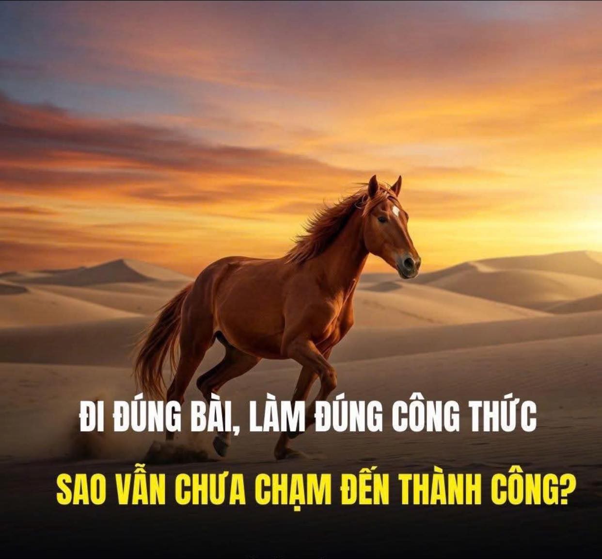 thanh-cong-khong-danh-cho-nguoi-choi-an-toan-1747972032.jpg
