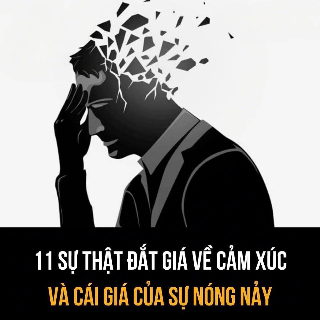 11-su-that-dat-gia-ve-cam-xuc-va-cai-gia-cua-su-nong-nay-1748828179.jpg