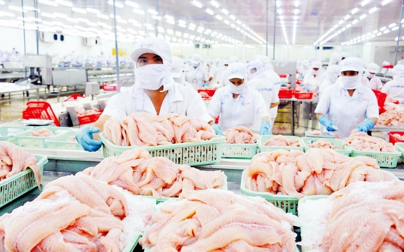my-cong-bo-ket-qua-chinh-thuc-muc-thue-cbpg-ca-tra-phile-dong-lanh-viet-nam-por20-7-doanh-nghiep-huong-thue-0-1750687846.jpg