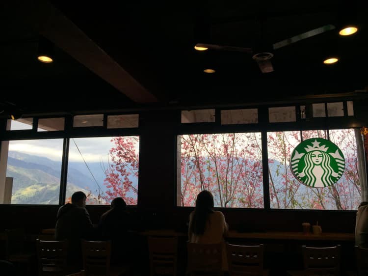 chia-tay-dia-diem-huyen-thoai-cua-hang-starbucks-tren-dinh-dai-loan-da-chinh-thuc-ngung-phuc-vu-1755748402.jpg
