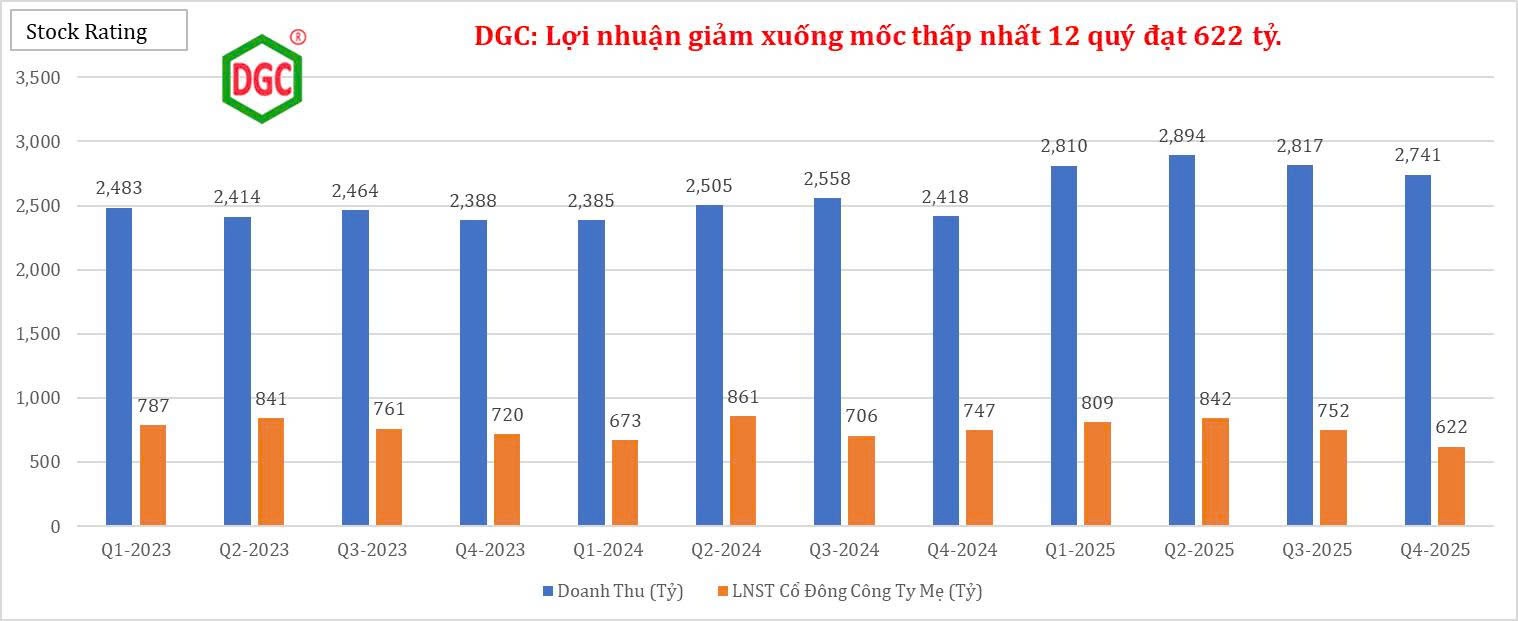 ctcp-tap-doan-hoa-chat-duc-giang-dgc-loi-nhuan-giam-xuong-moc-thap-nhat-12-quy-dat-622-ty-1770255352.jpg