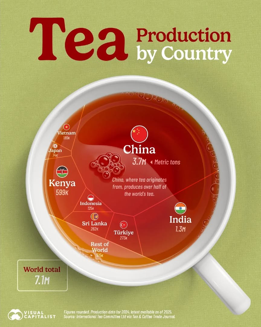 viet-nam-vao-top-6-nuoc-san-xuat-tra-lon-nhat-the-gioi-1787016774.jpg