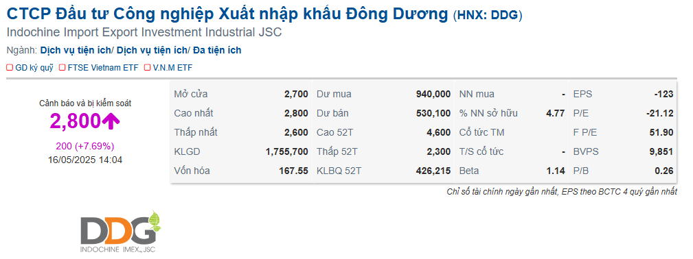 tu-lai-thanh-lo-ddg-ganh-cu-soc-sau-kiem-toan-co-phieu-chim-sau-1747456129.png