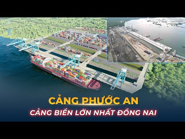 cang-phuoc-an-da-bi-tuyt-coi-xu-phat-hang-tram-trieu-nhu-the-nao-1748161282.jpg