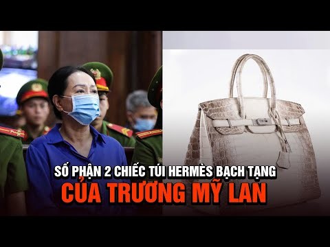 so-phan-tui-hermes-cua-ba-truong-my-lan-duoc-toa-dinh-doat-1750043324.jpg