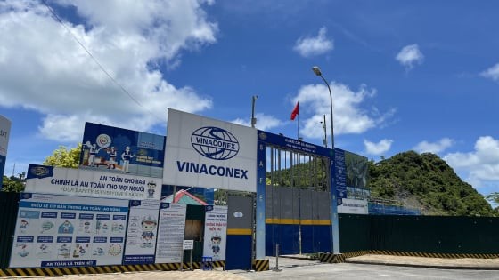 vinaconex-itc-tiep-tuc-bao-lo-quy-thu-9-lien-tiep-truoc-them-doi-chu-1752831258.jpg