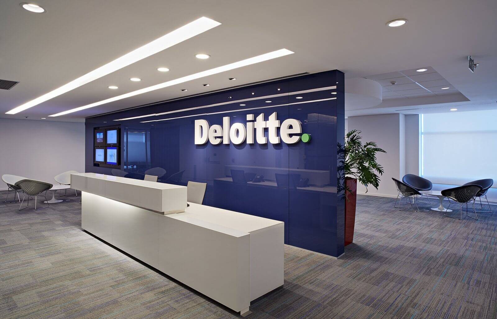 lam-dung-ai-thieu-kiem-chung-deloitte-bi-truy-van-ve-loat-bao-cao-cho-chinh-phu-1764301411.jpg