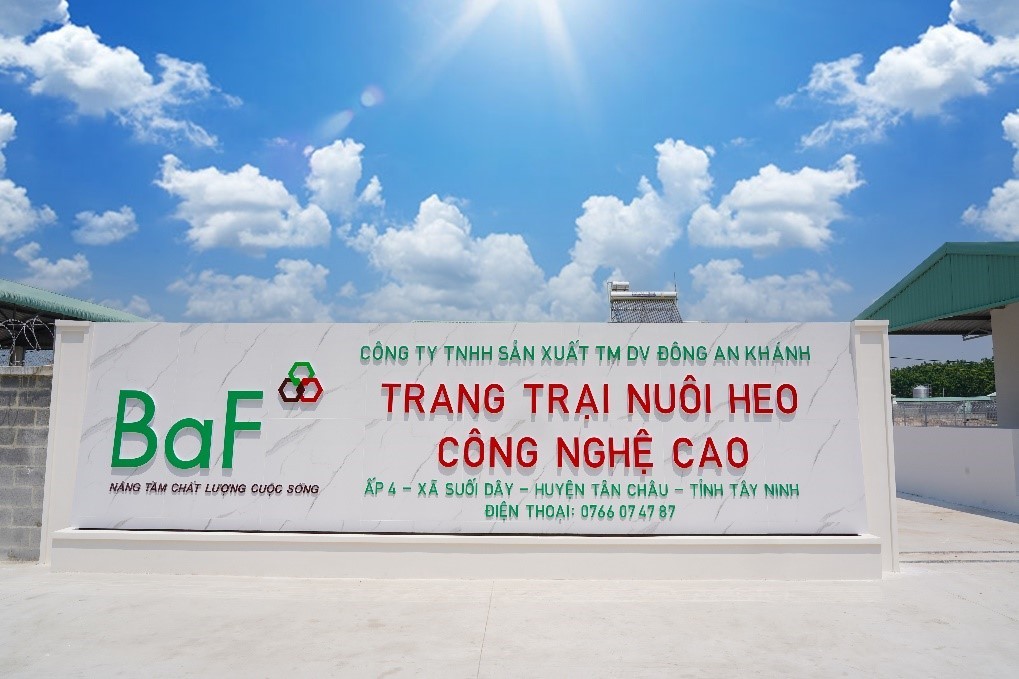 gia-heo-quay-xe-baf-viet-nam-lo-265-ty-dong-chi-trong-mot-quy-1770277489.jpg