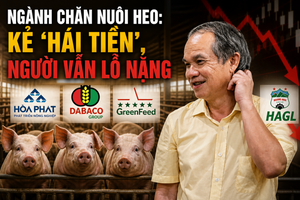 hoa-phat-dabaco-hay-greenfeed-tiep-tuc-hai-loi-nhuan-lon-con-bau-duc-lai-nguoc-dong-1777685717.png
