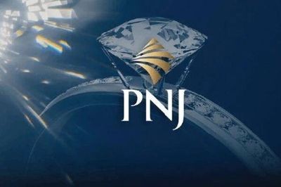 pnj-dang-vay-von-tu-nhung-ngan-hang-nao-he-lo-cach-ong-lon-vang-bac-xoay-gan-3000-ty-dong-von-luu-dong-1784877652.jpg