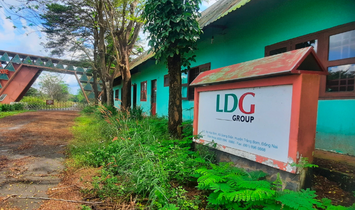 ldg-tiep-tuc-nam-trong-dien-canh-bao-lo-luy-ke-vuot-1340-ty-dong-1789096777.png
