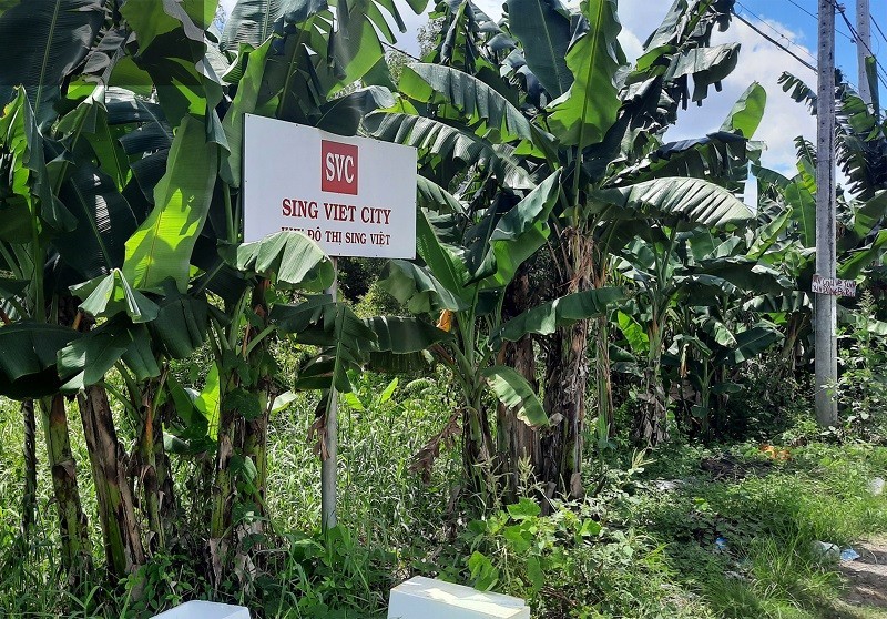 sing-viet-voi-300-trieu-usd-331-ha-sau-26-nam-treo-nam-trong-dien-thao-go-nhung-van-mac-o-vu-an-van-thinh-phat-1789444161.jpg