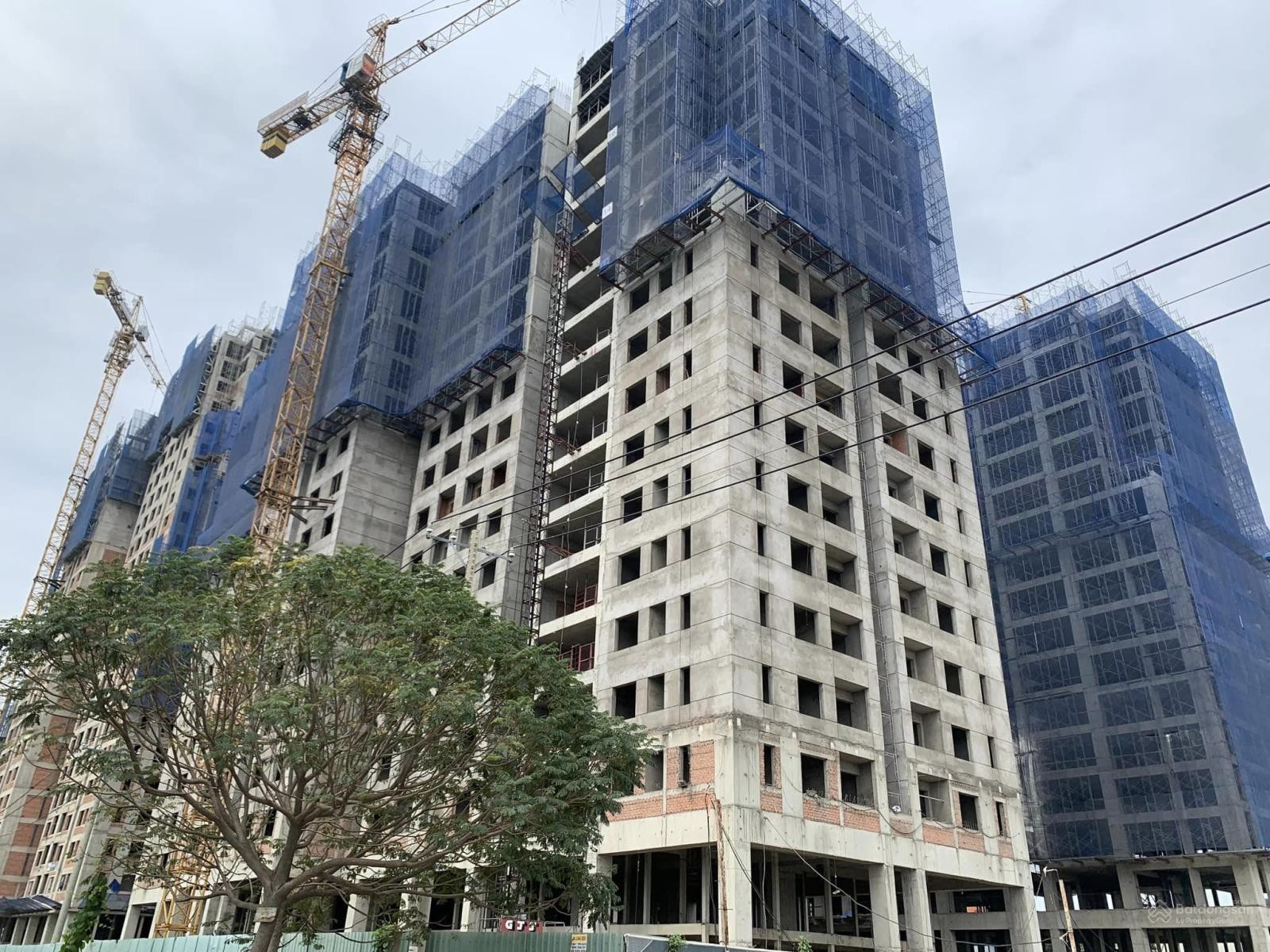 682-can-ho-dream-home-riverside-bi-ban-khi-chua-du-dieu-kien-ly-khuong-nhan-an-phat-900-trieu-dong-1790559475.jpg