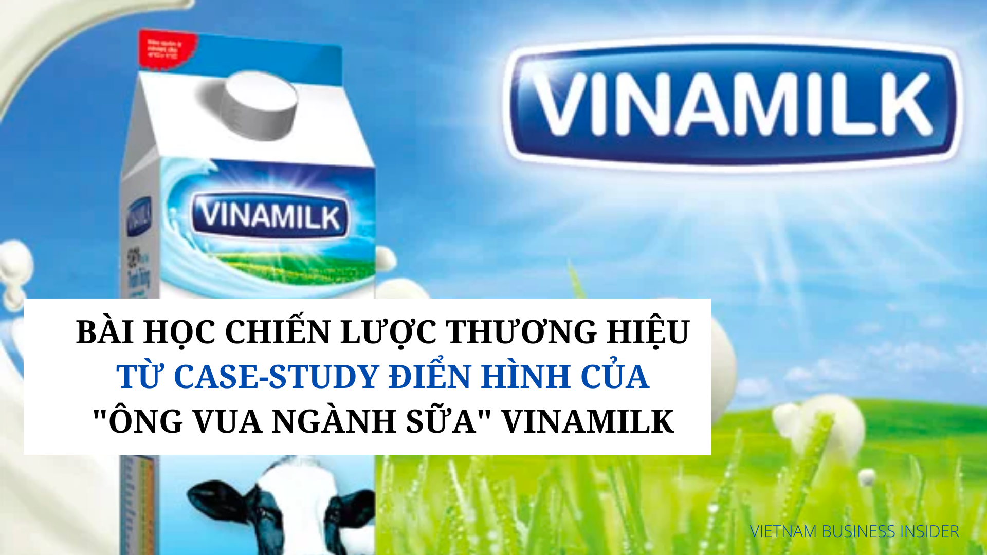 bai-hoc-chien-luoc-thuong-hieu-tu-case-study-dien-hinh-cua-ong-vua-nganh-sua-vinamilk-1661093417.png
