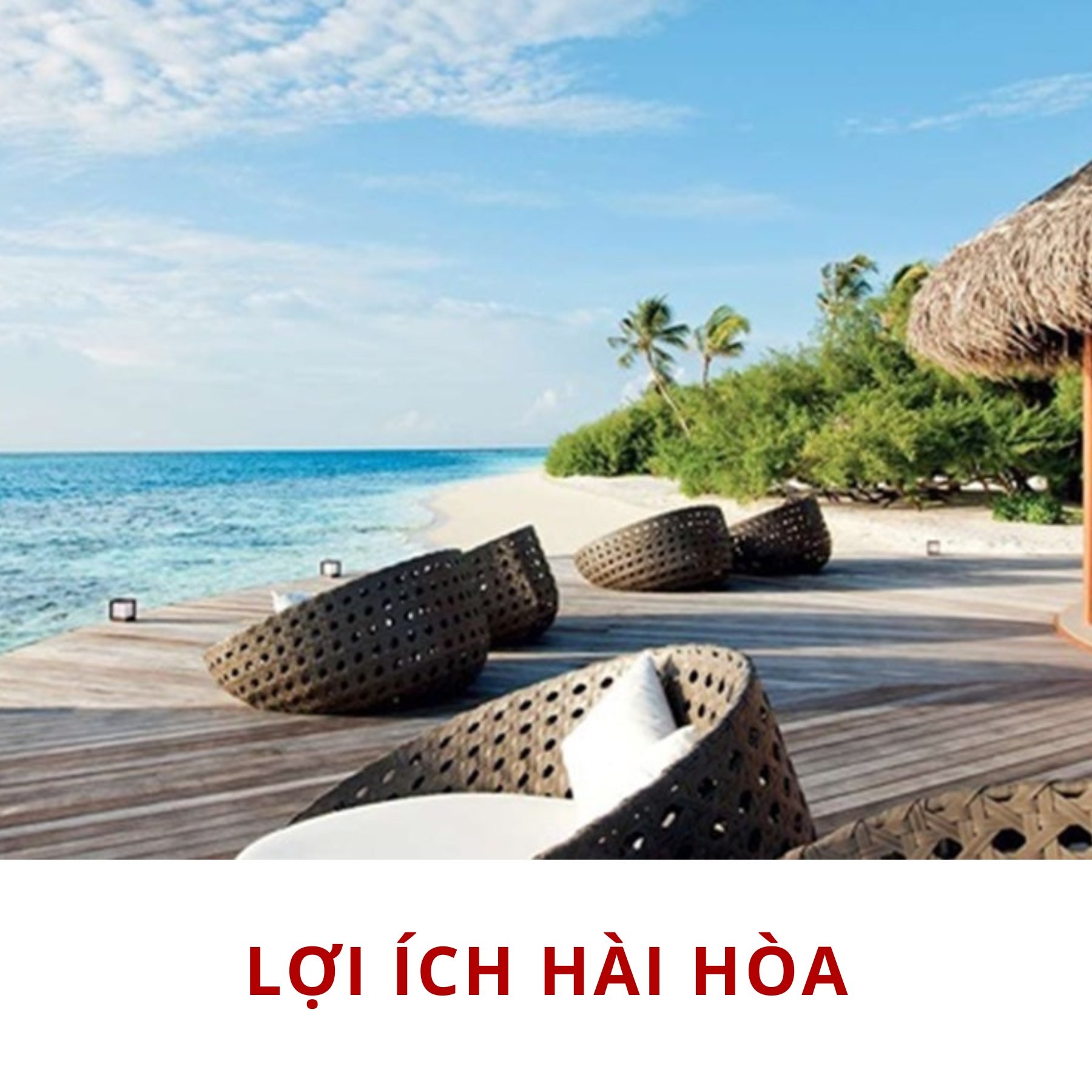 loi-ich-hai-hoa-1716559350.jpeg