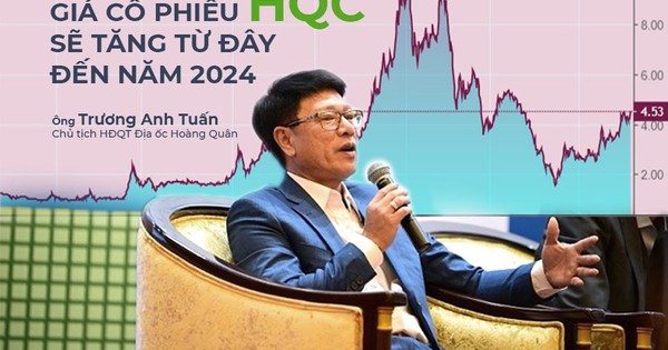 co-phieu-dia-oc-hoang-quan-hqc-bat-tang-185-tu-day-1685366544.jpeg
