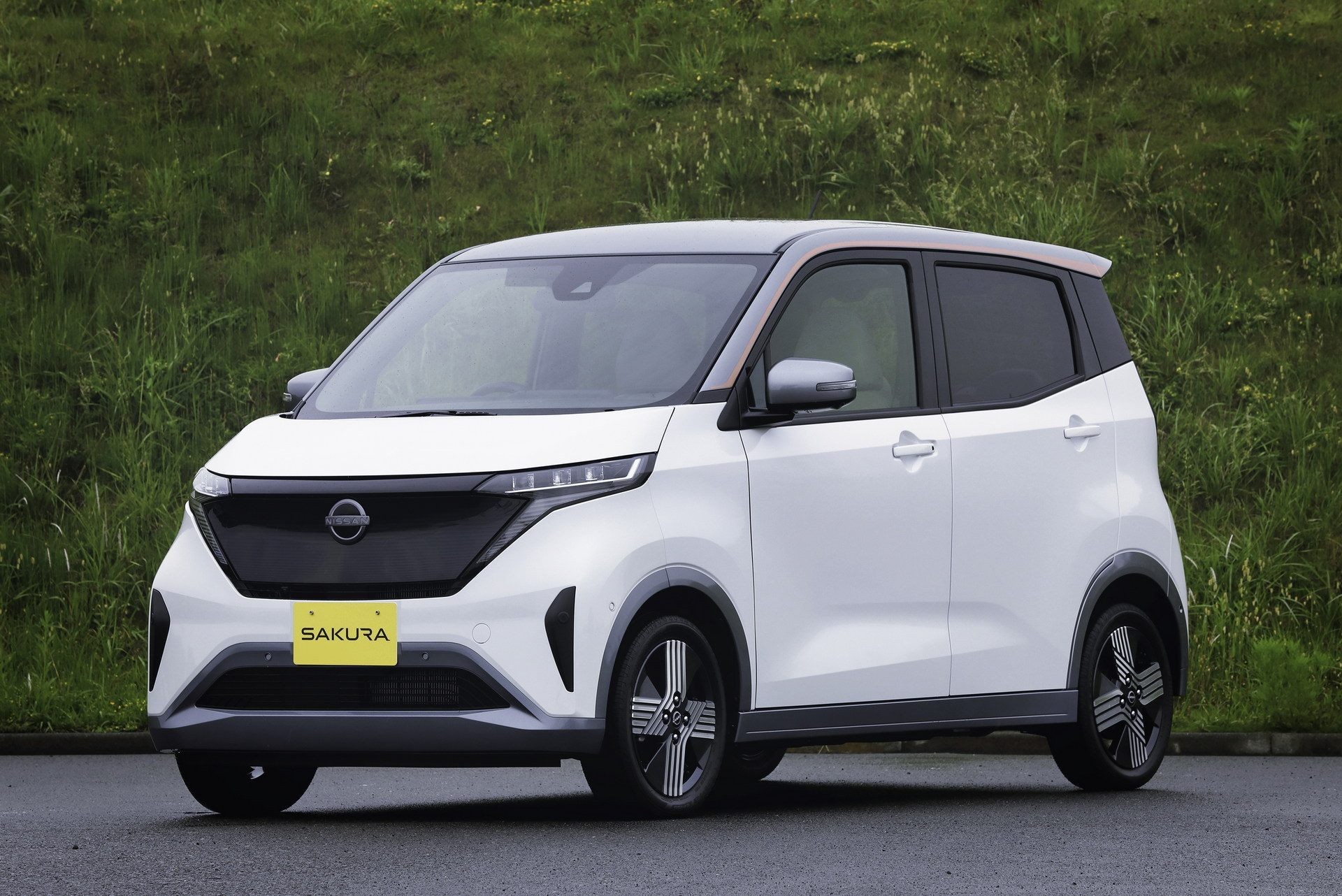 bat-ngo-chiec-o-to-dien-lam-mua-lam-gio-cua-nhat-ban-co-gia-tuong-duong-hyundai-i10-tai-viet-nam-1681023653.jpeg