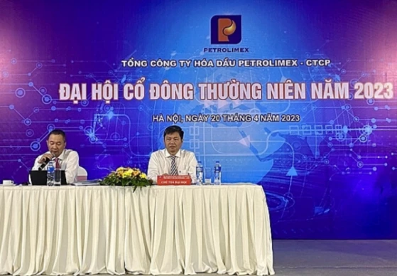 co-phieu-plc-sau-khi-gia-co-phieu-x3-nhay-vot-lan-song-dau-tu-cong-co-tan-bien-1682046517.webp