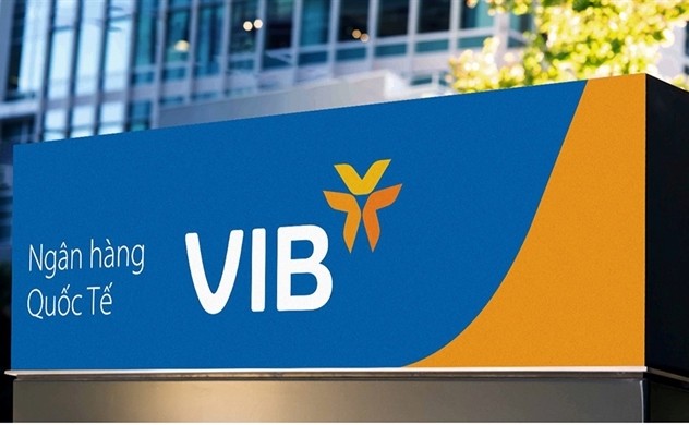 vib-29134291-1691643005.jpg