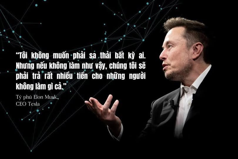 487750306-9484208211673599-3543867307063128944-n-1743650852.jpg