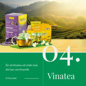 Vinatea GTNFoods