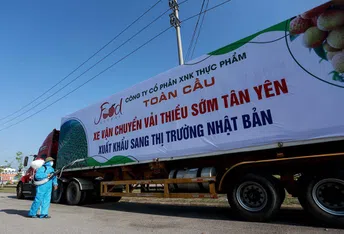 [Photo] Quy trình giám sát khử khuẩn cho vải thiều xuất khẩu sang Nhật Bản