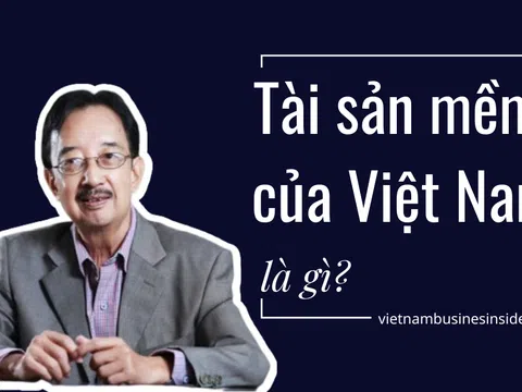 Tài sản mềm của Việt Nam là gì?