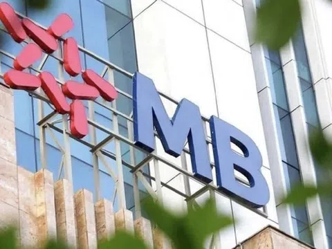 Pyn Elite Fund bất ngờ “rời cuộc chơi”, không còn nắm trên 1% vốn điều lệ tại MBBank