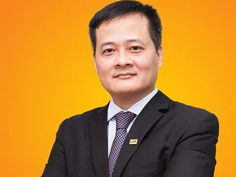 Chân dung ông Đinh Ngọc Dũng – nhân sự được bổ nhiệm thử thách giữ chức vụ Phó Tổng Giám đốc SHB