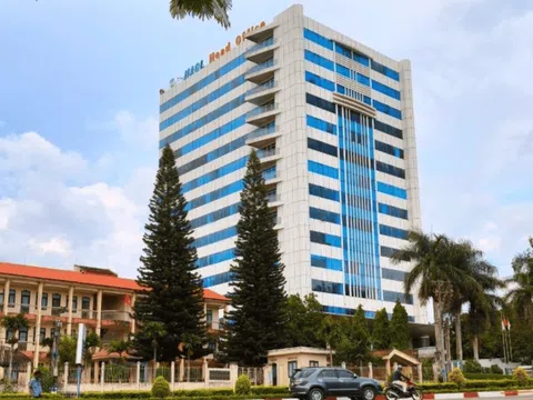 Bầu Đức thế chấp toàn bộ cổ phần doanh nghiệp sắp IPO của Hoàng Anh Gia Lai tại ngân hàng