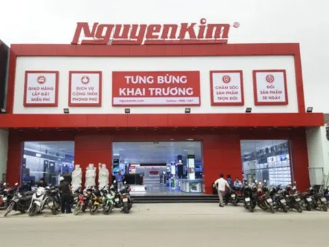 Đại gia bán lẻ Thái Lan Central Retail cắt lỗ, bán điện máy Nguyễn Kim cho PICO