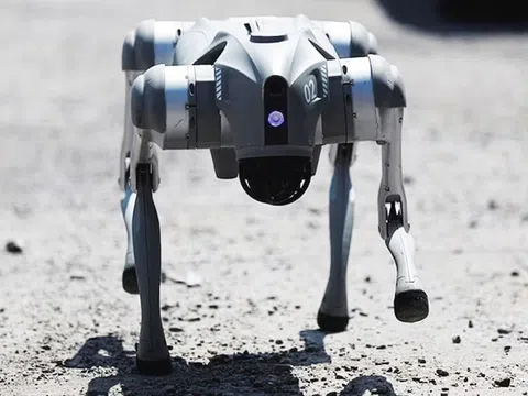 Tập đoàn Mỹ chọn TP.HCM làm cứ điểm sản xuất robot chó tích hợp AI