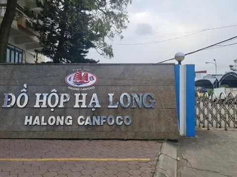 Đồ hộp Hạ Long: 3 năm thanh tra không phát hiện sai phạm, đến lúc TGĐ bị bắt mới lộ sự thật