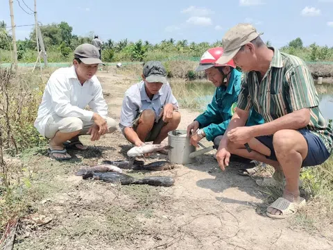 Tỉnh Cà Mau yêu cầu ACV bồi thường cho dân vì thi công sân bay làm nước mặn tràn vào vùng nuôi trồng!!