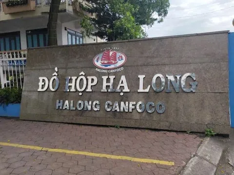 Đồ hộp Hạ Long lao đao sau bê bối thịt lợn bệnh: Lỗ tăng gấp 10 lần, tiền gửi ngân hàng gần như “về 0”