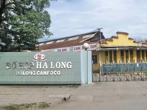 Cổ phiếu Đồ hộp Hạ Long bị đưa vào diện kiểm soát sau loạt biến cố