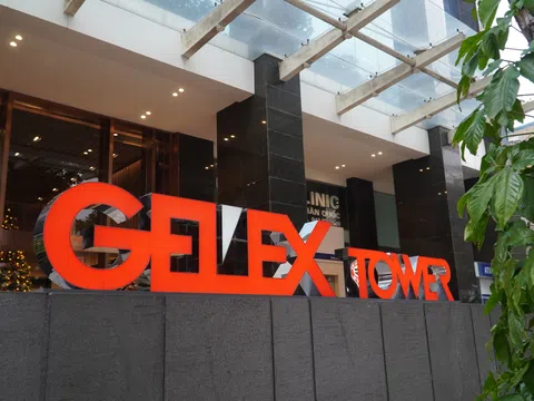 Năm thứ hai GELEX công bố báo cáo IFRS theo chuẩn quốc tế