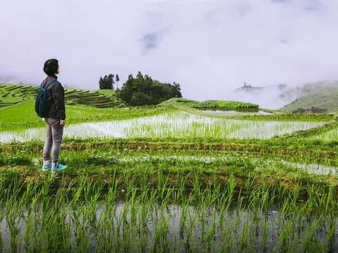 Không xe, không nhà thành phố, không vợ, tôi chọn về quê xây nhà 3 tỷ cho bố mẹ và sống một cuộc sống bình yên