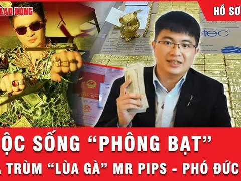 Vụ lừa đảo của Mr Pips: Danh sách 7 công ty liên quan, đại diện pháp luật thay đổi sau vài tháng