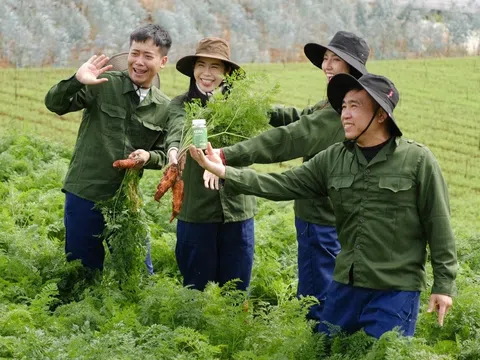 Giải đáp thắc mắc của mọi người: TikToker Tiến Nguyễn có vai trò gì trong vụ Kẹo rau củ KERA?