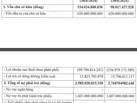Lỗ lũy kế 537 tỷ, nợ trái phiếu chồng chất, Du lịch Sài Gòn - Lâm Đồng báo động đỏ