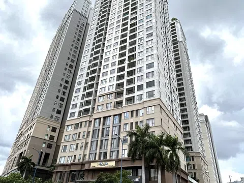 Phi vụ “lướt sóng” đất công Bến Vân Đồn: Hành trình sang tay chớp nhoáng của CEO Quốc Cường Gia Lai