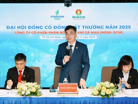 PVCFC họp ĐHĐCĐ bất thường: thông qua loạt quyết sách chiến lược, đổi tên công ty