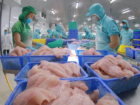 Doanh nghiệp bán cá Tra “gồng” lỗ khi mang tiền đầu tư vào các cổ phiếu của ông lớn bất động sản