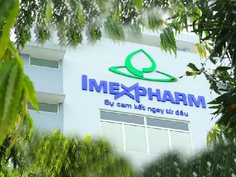 Imexpharm đã làm gì sai phạm mà bị truy thu và xử phạt thuế hơn 4.8 tỷ?